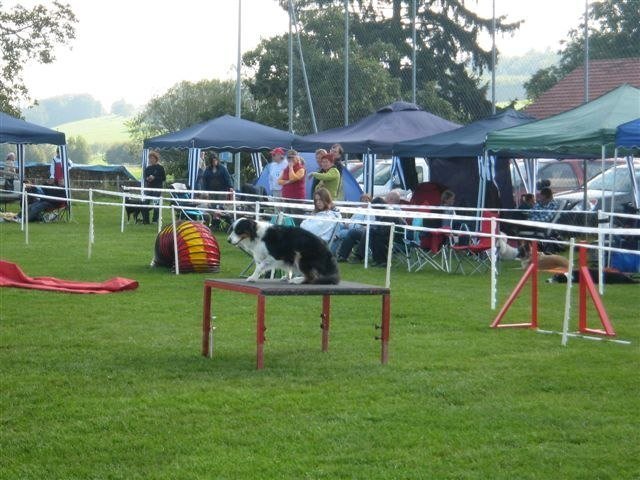 Concours La Spirale 2010 – photo 16