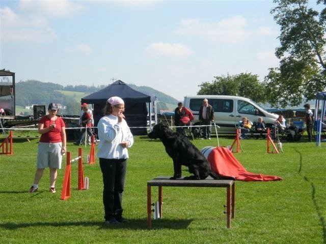 Concours La Spirale 2010 – photo 17
