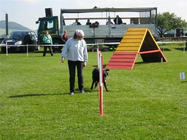 Concours La Spirale 2010 – photo 18