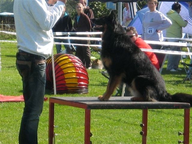 Concours La Spirale 2010 – photo 20