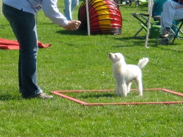 Concours La Spirale 2010 – photo 22
