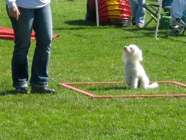 Concours La Spirale 2010 – photo 23