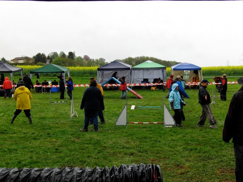 Concours agility 2010 – photo 5