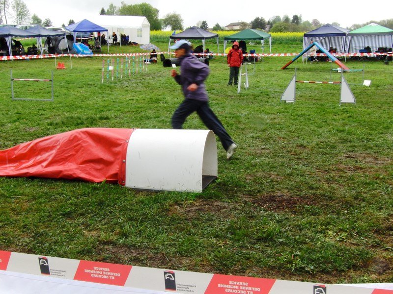 Concours agility 2010 – photo 18