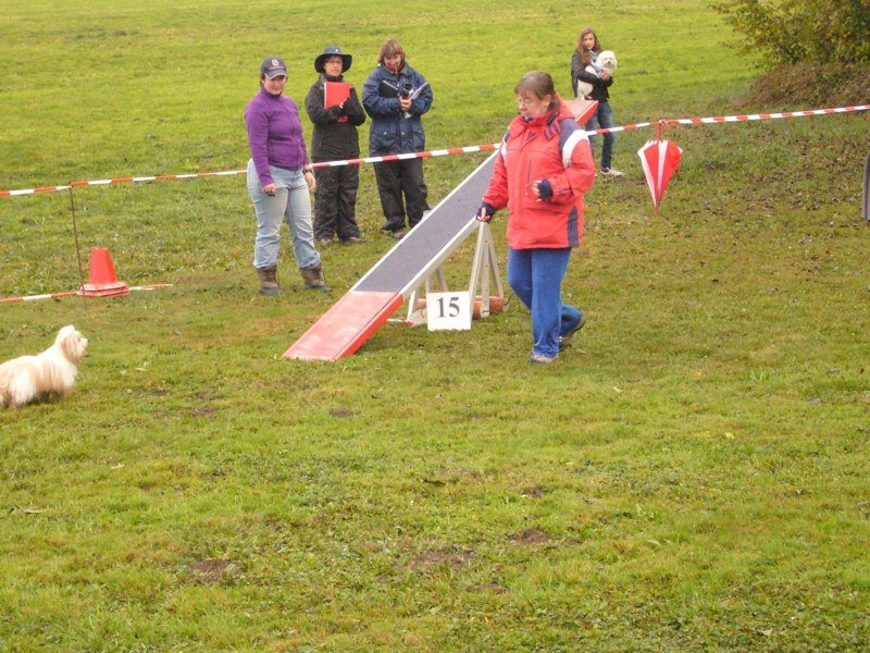 Examen juge agility Géraldine 2010