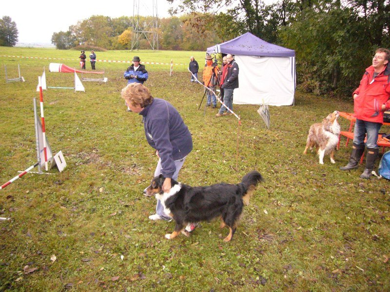 Examen juge agility Géraldine 2010 – photo 7