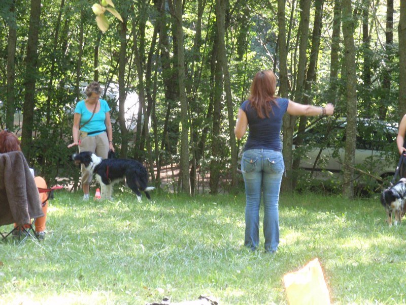 Formation Activ'Canin 2010