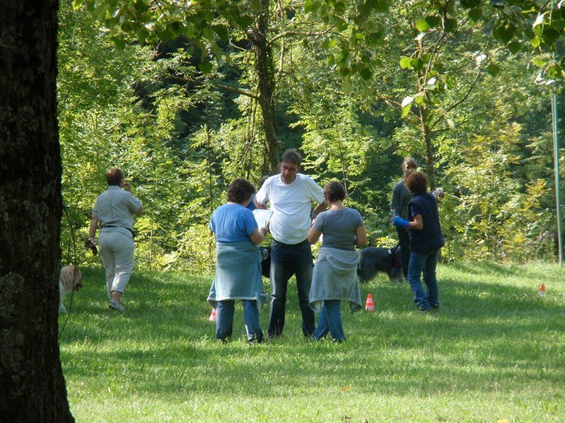 Formation Activ'Canin 2010 – photo 2