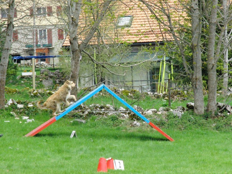 Séminaire printemps 2010 – photo 13
