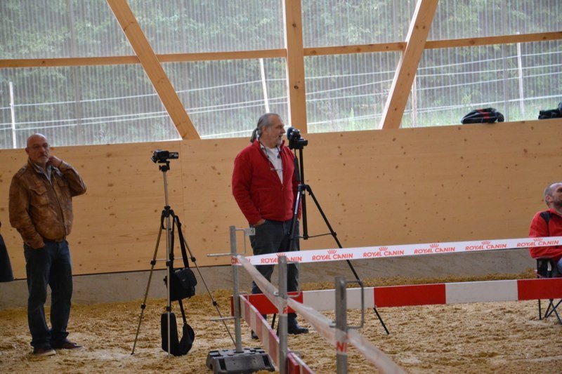Championnat suisse agility 2011