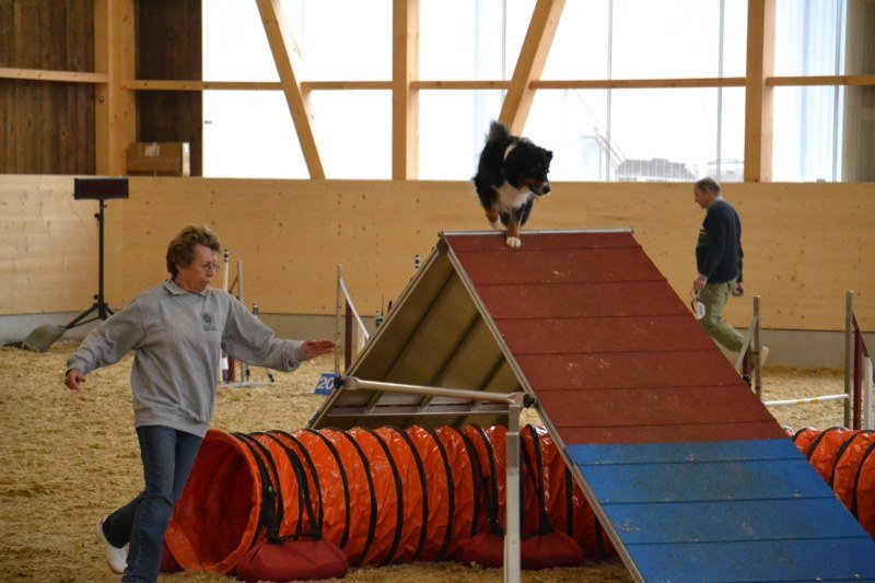 Championnat suisse agility 2011 – photo 2