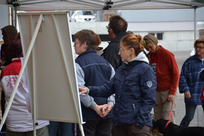 Championnat suisse agility 2011 – photo 3
