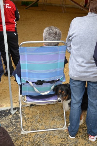 Championnat suisse agility 2011 – photo 4