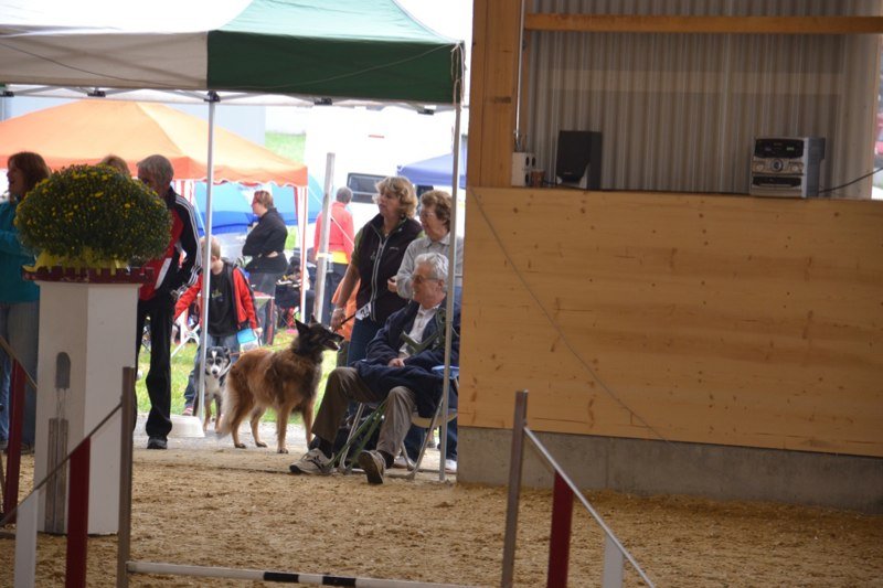 Championnat suisse agility 2011 – photo 5