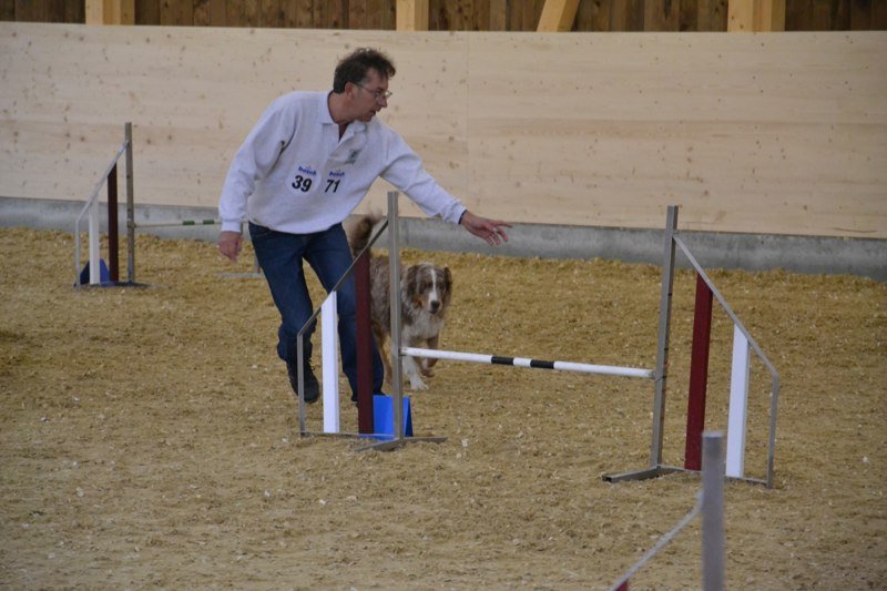 Championnat suisse agility 2011 – photo 7