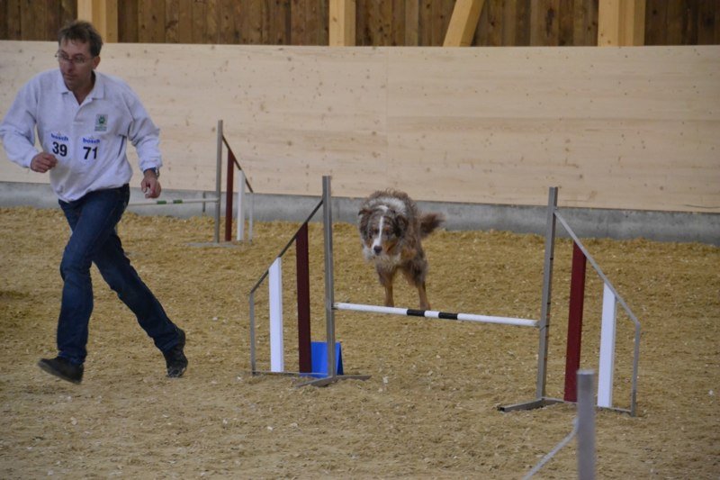 Championnat suisse agility 2011 – photo 8
