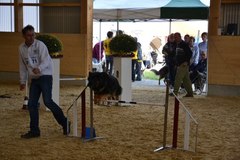 Championnat suisse agility 2011 – photo 12