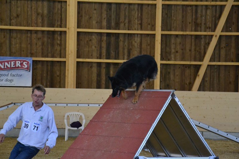 Championnat suisse agility 2011 – photo 13