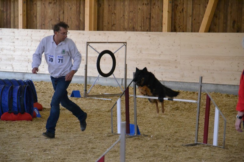 Championnat suisse agility 2011 – photo 14