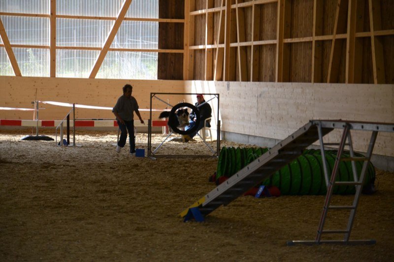Championnat suisse agility 2011 – photo 17