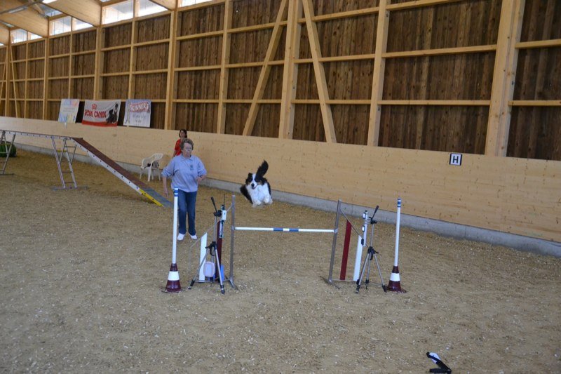 Championnat suisse agility 2011 – photo 18