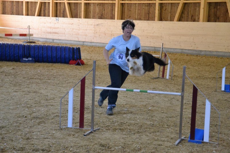 Championnat suisse agility 2011 – photo 22