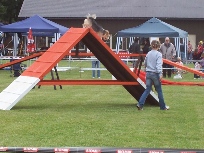 Agility 2007 – photo 12