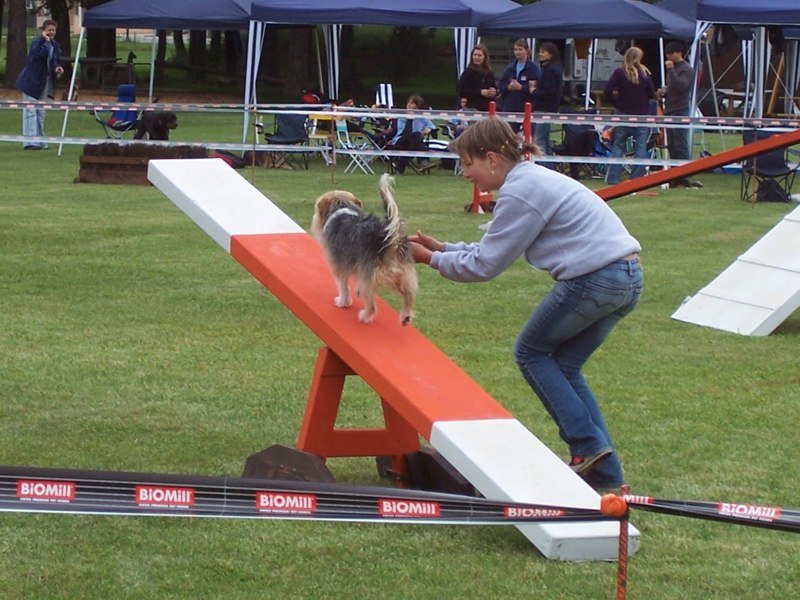 Agility 2007 – photo 13