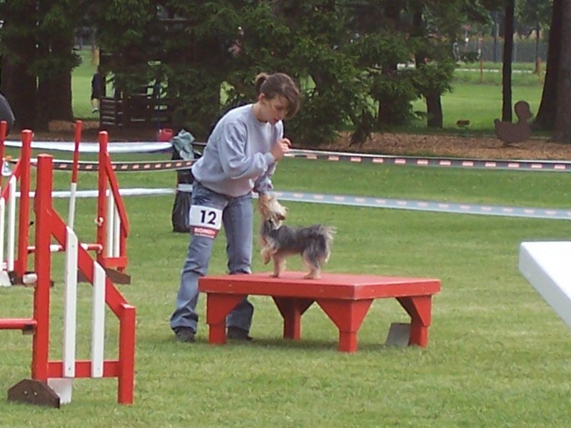 Agility 2007 – photo 14