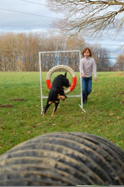 Agility 2007 – photo 28
