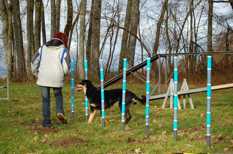 Agility 2007 – photo 29