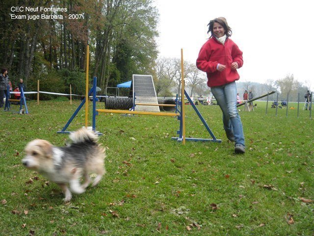 Agility 2007 – photo 40