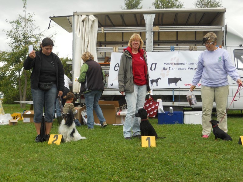 Concours agility Chailly 2011
