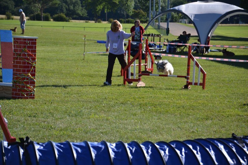 Concours agility Gimel 2011