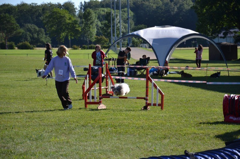 Concours agility Gimel 2011 – photo 2