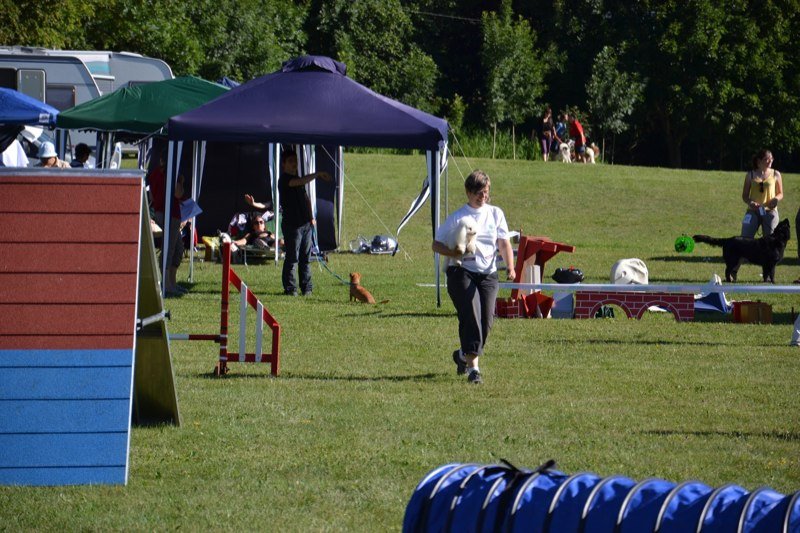 Concours agility Gimel 2011 – photo 5