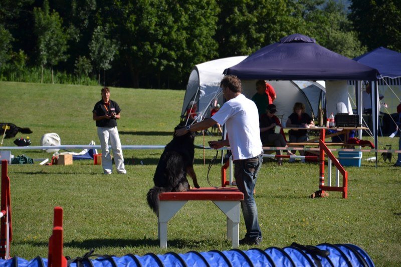 Concours agility Gimel 2011 – photo 8