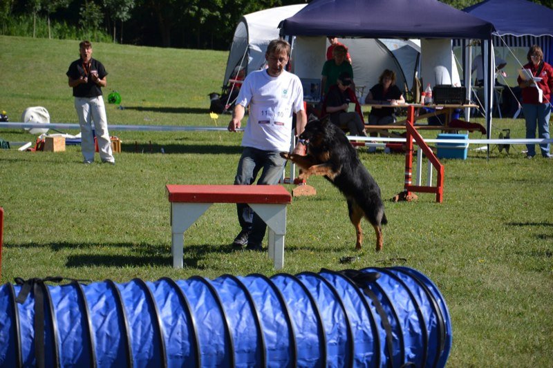 Concours agility Gimel 2011 – photo 9