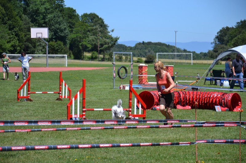 Concours agility Gimel 2011 – photo 10