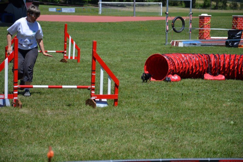 Concours agility Gimel 2011 – photo 13