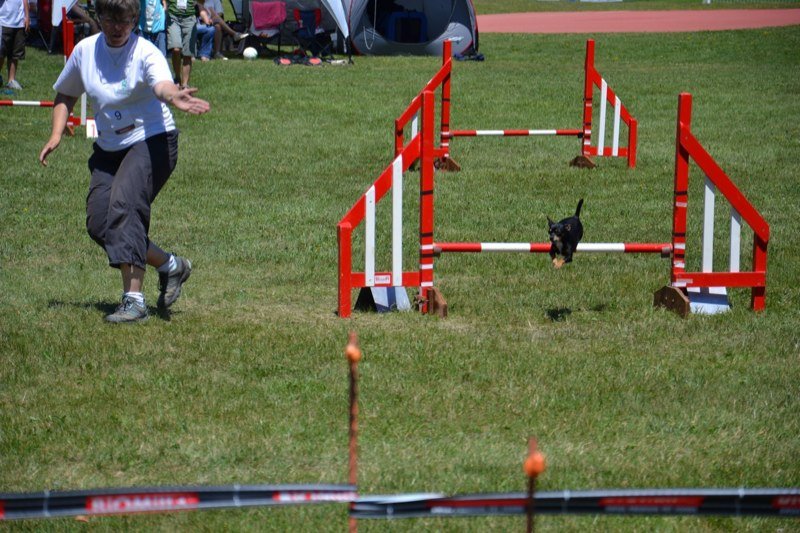 Concours agility Gimel 2011 – photo 14