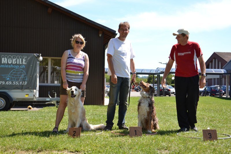 Concours agility Gimel 2011 – photo 18
