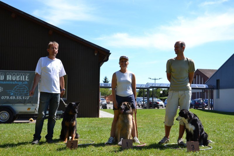 Concours agility Gimel 2011 – photo 19