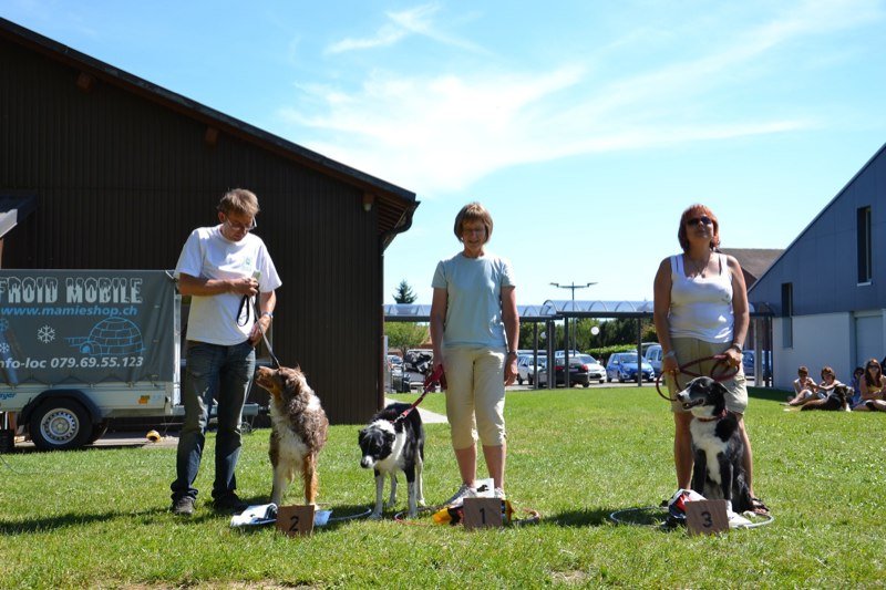 Concours agility Gimel 2011 – photo 20