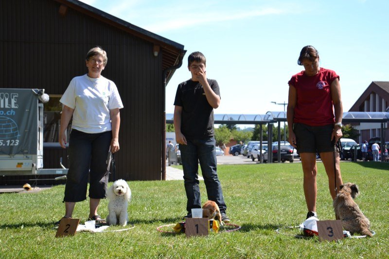 Concours agility Gimel 2011 – photo 21