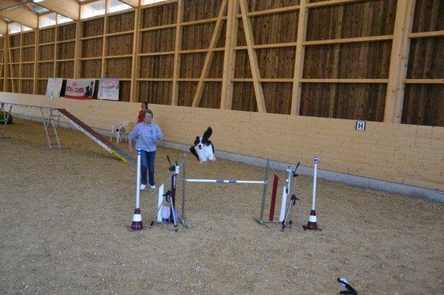 Divers 2011
