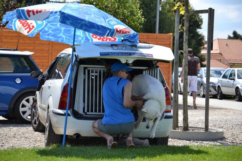 Tournoi de pétanque 2011 – photo 6