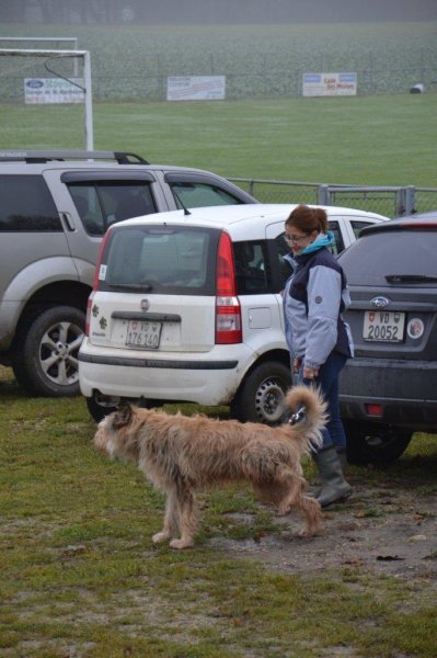 Championnat suisse AF 2012 – photo 2