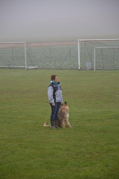 Championnat suisse AF 2012 – photo 3