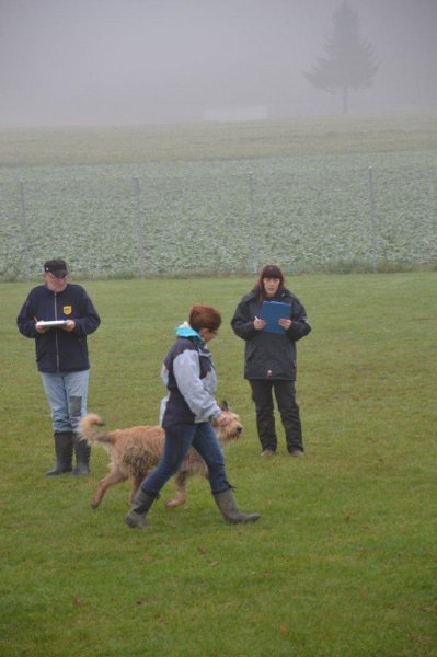 Championnat suisse AF 2012 – photo 4